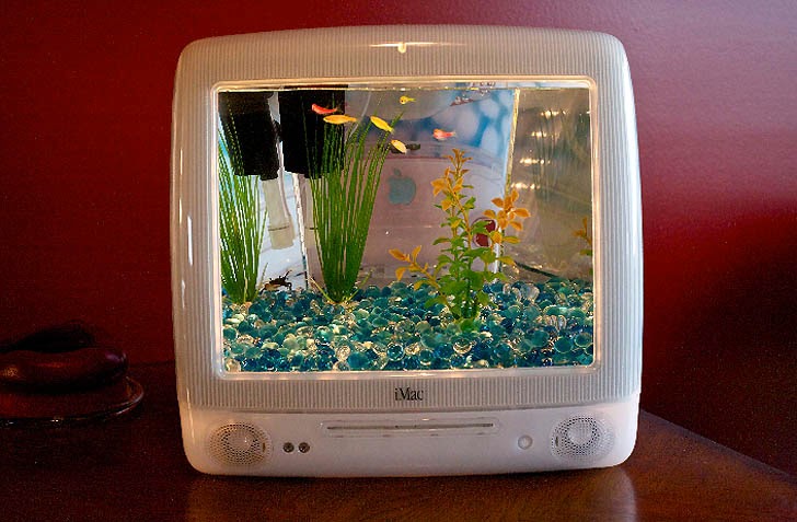 Where to Begin? It's one of those games that you can play off and on in your spare time and have fun with it. Nice pace, can build up your dollars and points over time, get to explore more stuff, etc. Graphics are cute, though I'm not crazy about how the fish eating fish sometimes disrupts the calmness.